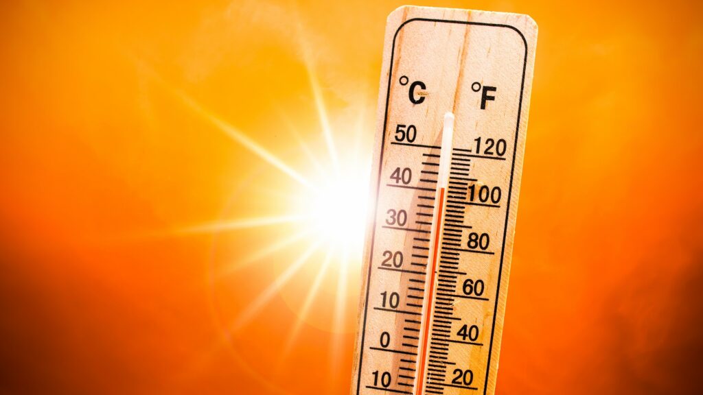 Keeping cool in the heat this summer